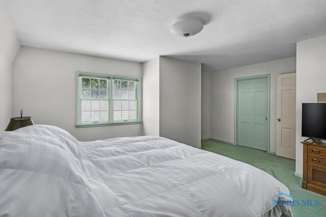 5941 Indian Trl, Sylvania, OH 43560 - bedroom featuring carpet flooring and baseboards