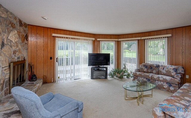 4617 Garden Ridge Dr, Toledo, OH 43614 - photo 35