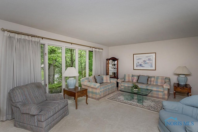 4617 Garden Ridge Dr, Toledo, OH 43614 - photo 9