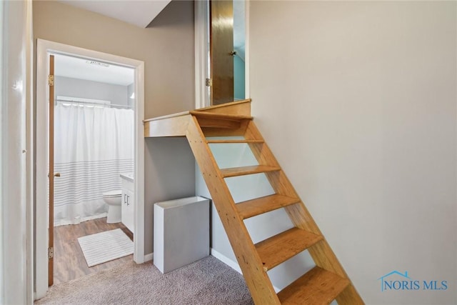 12982 State Route 34, Bryan, OH 43506 - staircase featuring baseboards and carpet floors