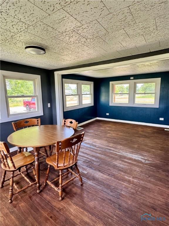26110 Elizabeth St, Defiance, OH 43512 - dining space with wood finished floors and plenty of natural light