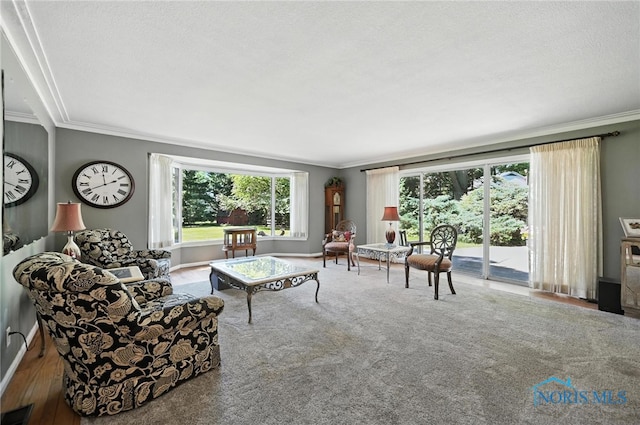 4567 Torquay Ave, Toledo, OH 43615 - living room with crown molding, plenty of natural light, a textured ceiling, and carpet flooring