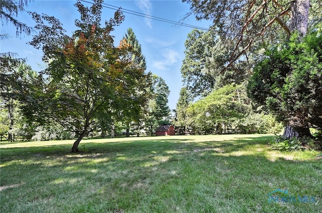 4567 Torquay Ave, Toledo, OH 43615 - view of grassy yard