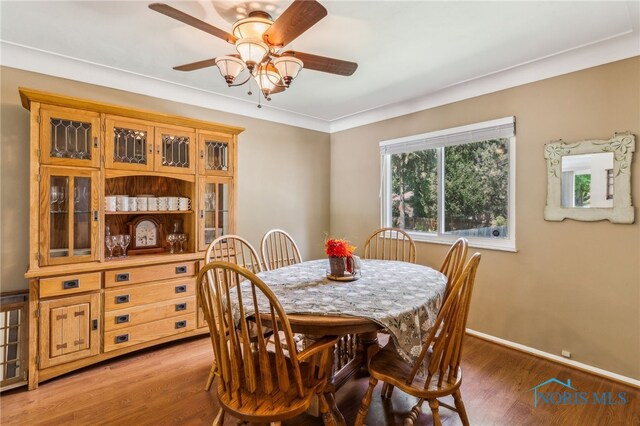 3075 Villa Dr, Toledo, OH 43614 - photo 7