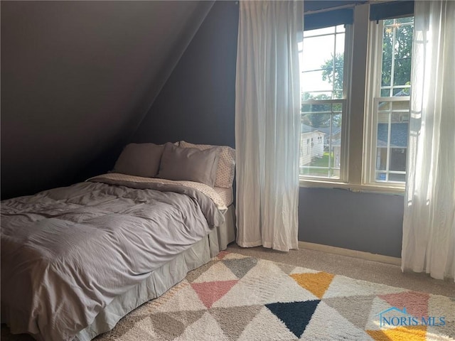843 Kentner St, Defiance, OH 43512 - photo 20
