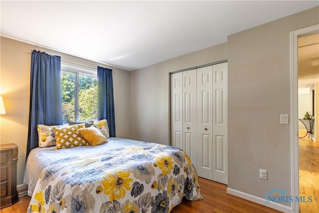 6768 Denbridge Dr, Sylvania, OH 43560 - bedroom with light wood-style floors and a closet