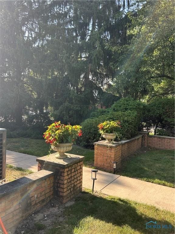 4243 W Bancroft St Unit 202W, Ottawa Hills, OH 43615 - view of green lawn