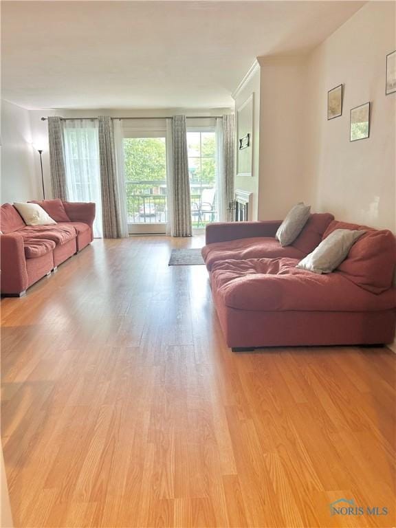 4243 W Bancroft St Unit 202W, Ottawa Hills, OH 43615 - living room with light wood-type flooring