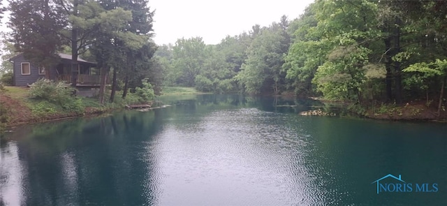 26654 Elliott Rd, Defiance, OH 43512 - water view with a heavily wooded area