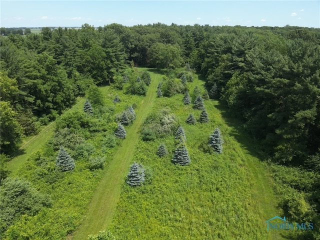 26654 Elliott Rd, Defiance, OH 43512 - aerial view