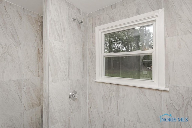 2617 Schroeder St, Toledo, OH 43613 - bathroom with tiled shower