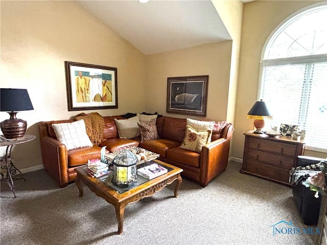 7361 Caracole Ct Unit 7361, Sylvania, OH 43560 - living area featuring plenty of natural light, lofted ceiling, and light colored carpet