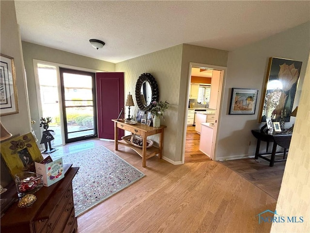 7361 Caracole Ct Unit 7361, Sylvania, OH 43560 - entrance foyer with light wood finished floors and a textured ceiling
