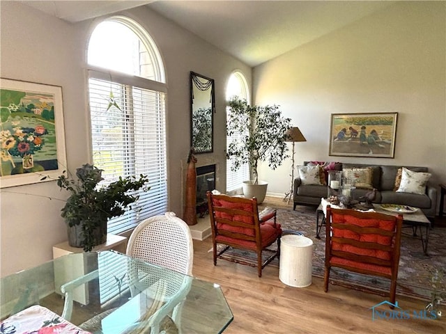 7361 Caracole Ct Unit 7361, Sylvania, OH 43560 - sitting room featuring lofted ceiling, wood finished floors, and a glass covered fireplace