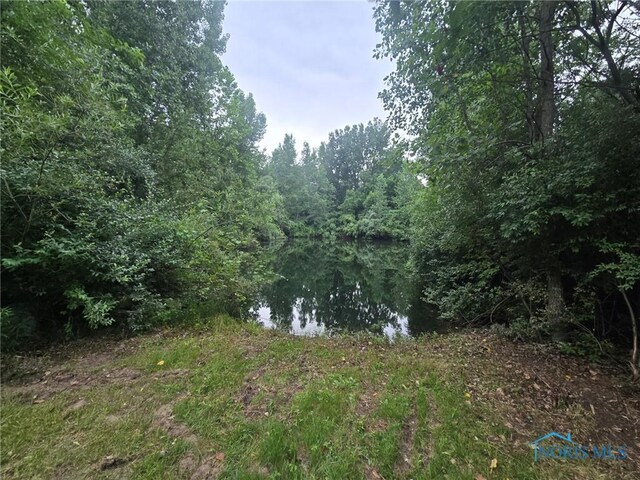 9900 County Road 4, Delta, OH 43515 - photo 5