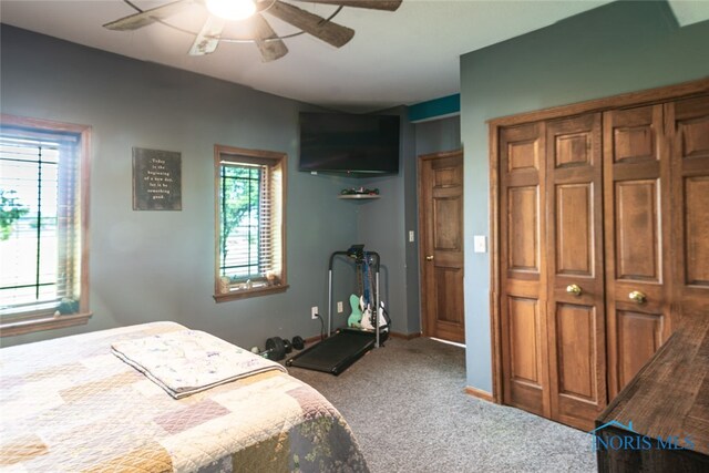 5196 County Road J, Edon, OH 43518 - photo 9