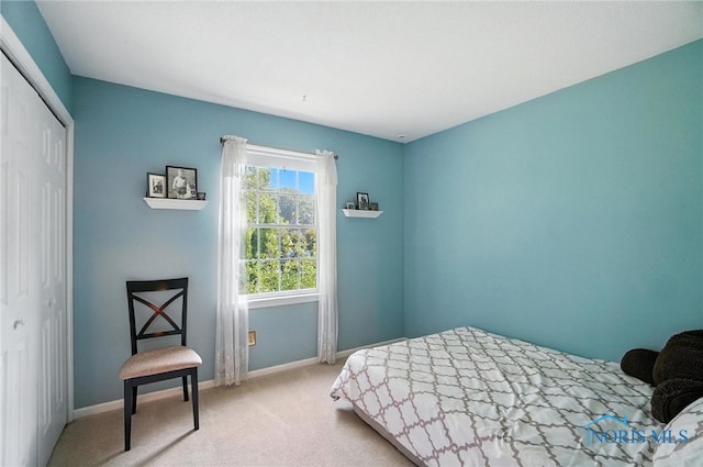 1240 Applegate St, Waterville, OH 43566 - photo 28