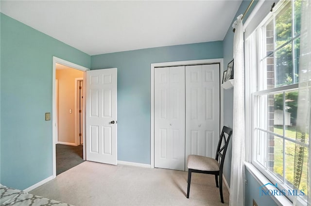 1240 Applegate St, Waterville, OH 43566 - photo 29