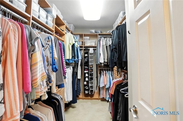 5576 N Citation Rd, Ottawa Hills, OH 43615 - spacious closet featuring carpet floors