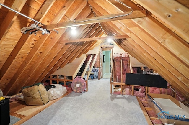 5576 N Citation Rd, Ottawa Hills, OH 43615 - view of attic