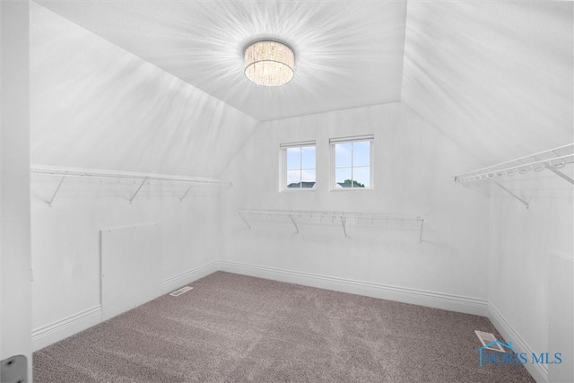 9258 Nate Ct, Sylvania, OH 43560 - spacious closet featuring carpet flooring and lofted ceiling
