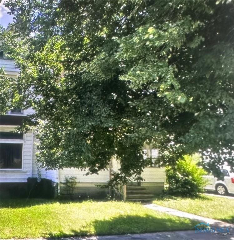 236 Birch St, Wauseon, OH 43567 - view of grassy yard