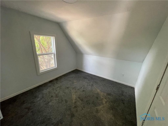 1221 E Broadway St, Toledo, OH 43605 - bonus room with vaulted ceiling and dark carpet