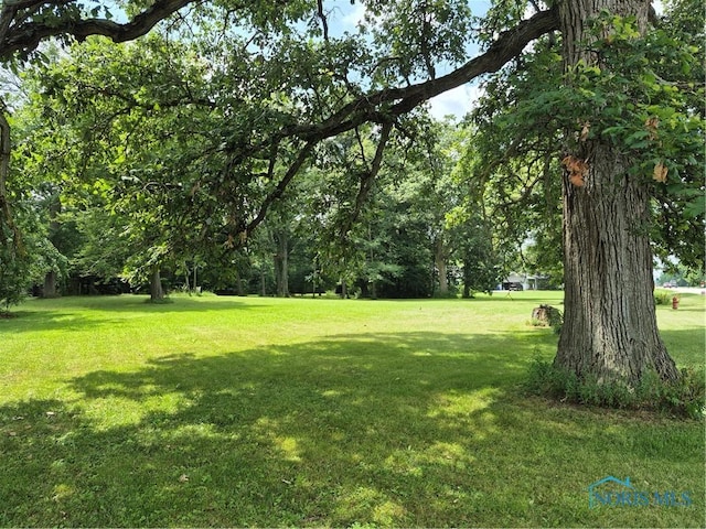 4090 Township Road 254, Arcadia, OH 44804 - photo 41