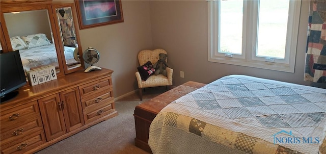 121 Scott Dr, Bryan, OH 43506 - photo 22