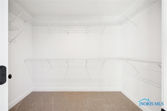 2700 Cross Ridge Way, Perrysburg, OH 43551 - spacious closet featuring carpet floors