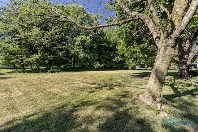 1641 County Rd E, Swanton, OH 43558 - photo 46