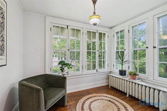 1673 Watova Rd, Toledo, OH 43614 - sunroom / solarium featuring french doors, radiator heating unit, crown molding, and wood-type flooring