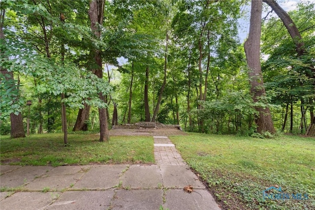 1673 Watova Rd, Toledo, OH 43614 - view of grassy yard