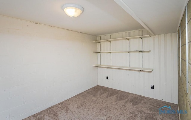 4855 Clover Ln, Toledo, OH 43623 - photo 46
