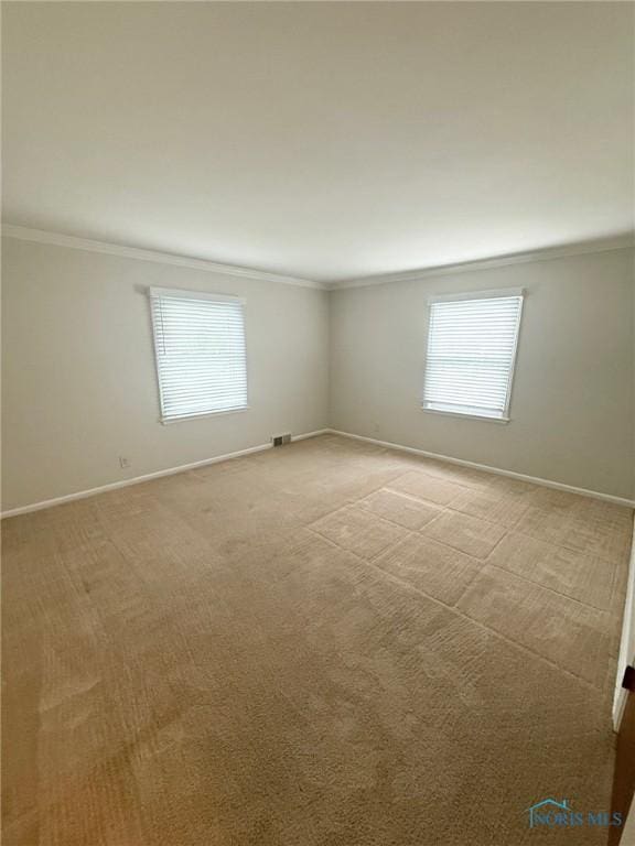 125 E Yates Ave, Findlay, OH 45840 - empty room with ornamental molding, healthy amount of natural light, and light carpet