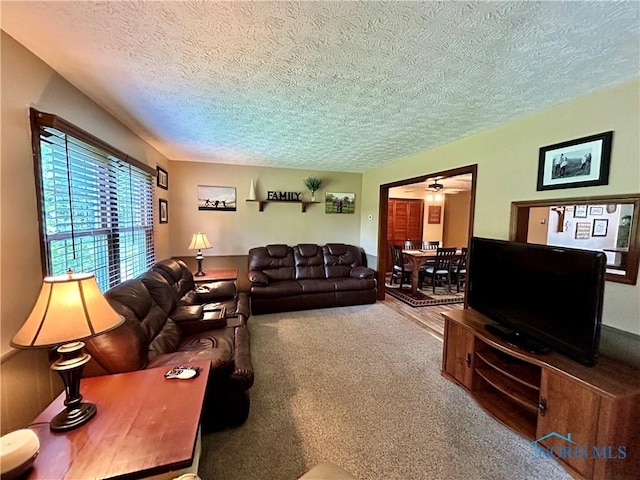 210 Duck Pond Rd, Upper Sandusky, OH 43351 - living room with a textured ceiling, ceiling fan, and carpet flooring