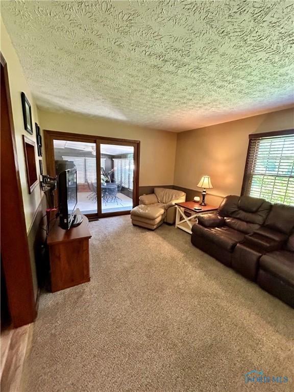 210 Duck Pond Rd, Upper Sandusky, OH 43351 - carpeted living area featuring a textured ceiling