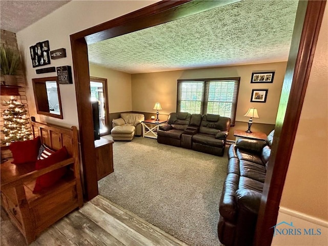 210 Duck Pond Rd, Upper Sandusky, OH 43351 - living area featuring a textured ceiling and wood finished floors
