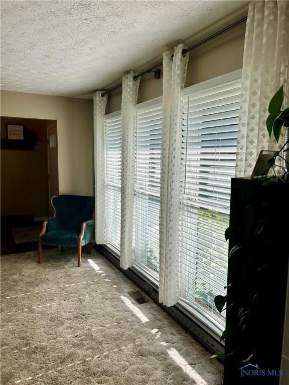 210 Duck Pond Rd, Upper Sandusky, OH 43351 - sitting room with a textured ceiling and carpet floors