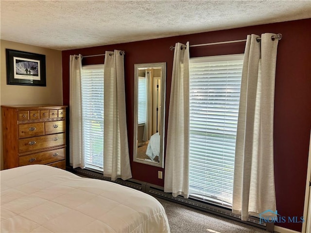 210 Duck Pond Rd, Upper Sandusky, OH 43351 - bedroom featuring carpet, a textured ceiling, and multiple windows