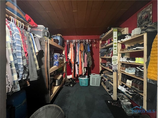 8872 Rd 87, Paulding, OH 45879 - view of spacious closet