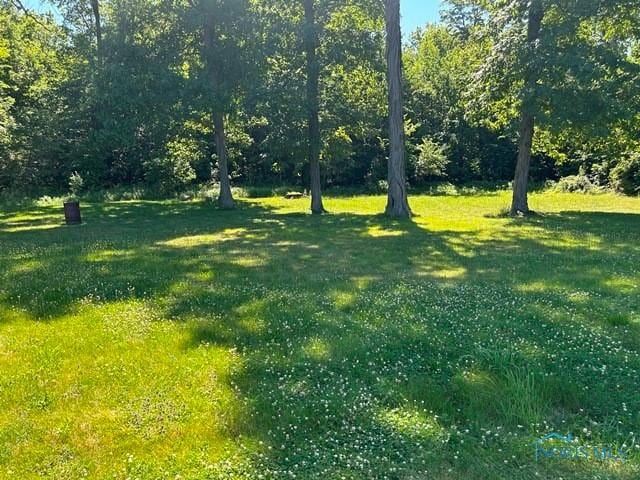 12705 Rd 11, Ottawa, OH 45875 - photo 25