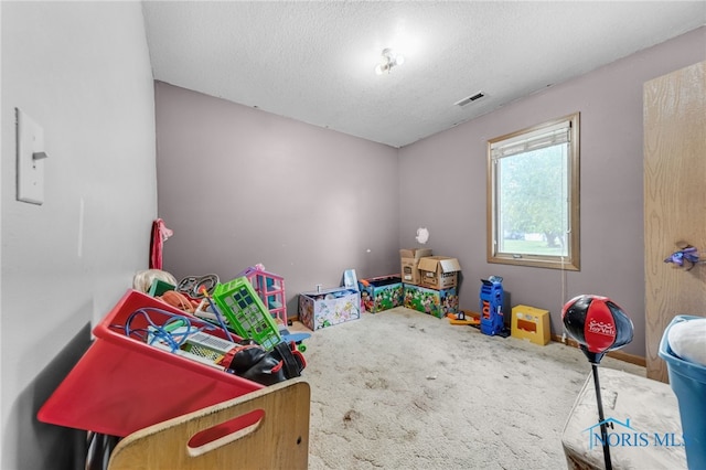 304 Fulton St, Fayette, OH 43521 - playroom featuring carpet floors and a textured ceiling