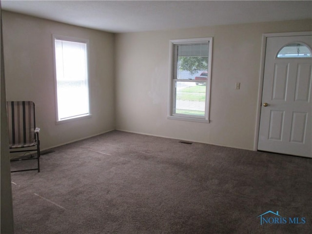 218 Cherry St, Wauseon, OH 43567 - photo 7