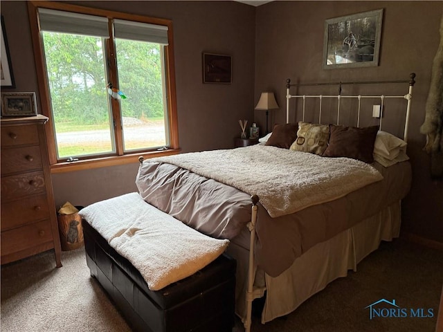 19445 Powers Rd, Defiance, OH 43512 - view of carpeted bedroom