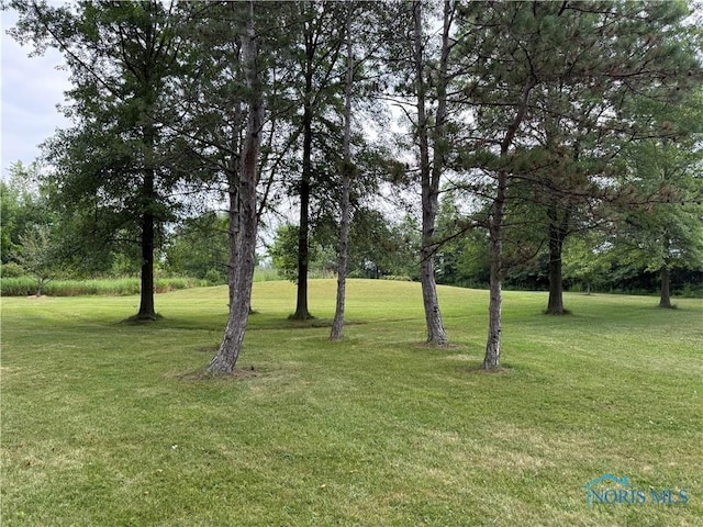 19445 Powers Rd, Defiance, OH 43512 - view of grassy yard