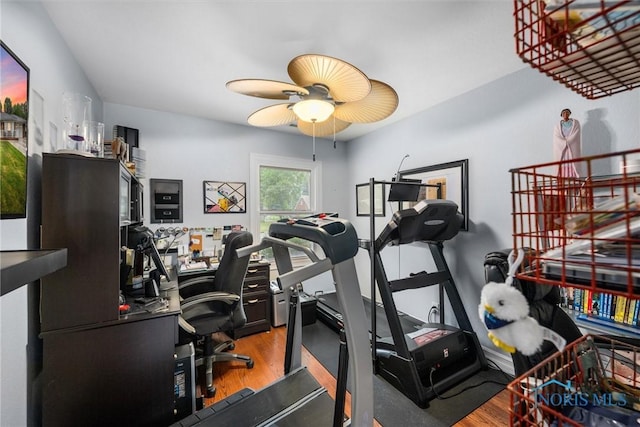 3605 W Laskey Rd, Toledo, OH 43623 - workout area with wood finished floors and ceiling fan