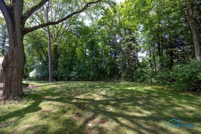 4906 Pine Ridge Rd, Toledo, OH 43615 - view of green lawn featuring a wooded view