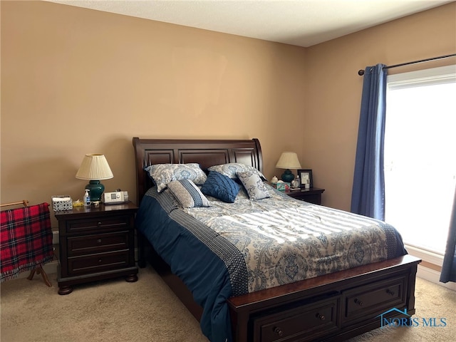 410 Spring St, Upper Sandusky, OH 43351 - bedroom with multiple windows and light colored carpet