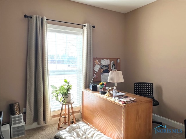 410 Spring St, Upper Sandusky, OH 43351 - carpeted office featuring baseboards